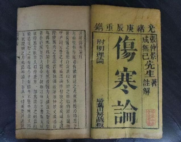 张仲景的著作是什么(张仲景的简介)