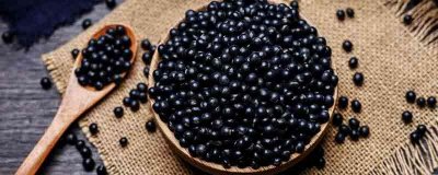 ​黑豆芽的营养价值及营养成分