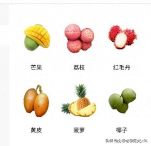 ​海南水果大全：探寻热带水果