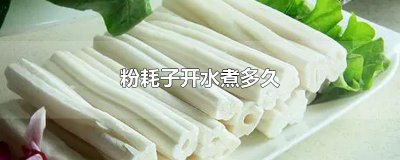 ​粉耗子开水煮多久