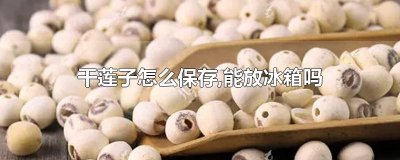 干莲子怎么保存,能放冰箱吗