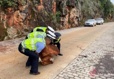 ​云南交警完成挂牌隐患点段整治552个