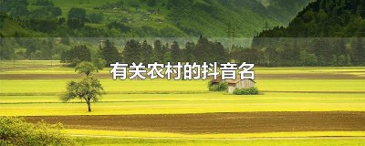 有关农村的抖音名
