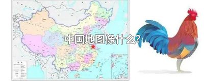 ​中国地图像什么?