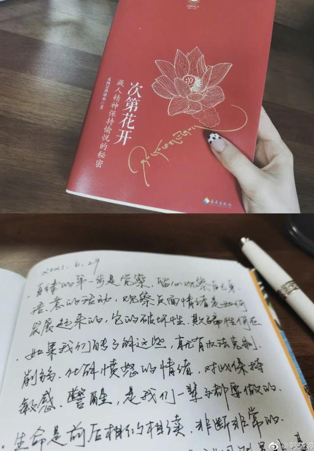 郭晓婷一个巴掌看出演技（一张嘴骂翻娱乐圈）(22)