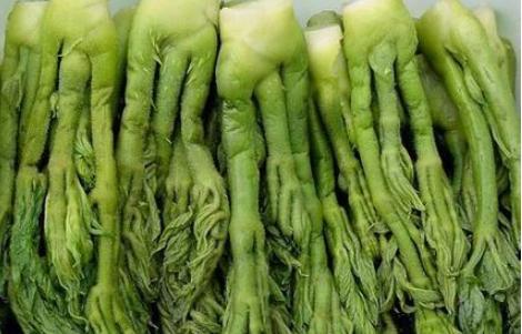 东北集市上很常见,南方人却把它当“害树”,年节时一斤卖到40元