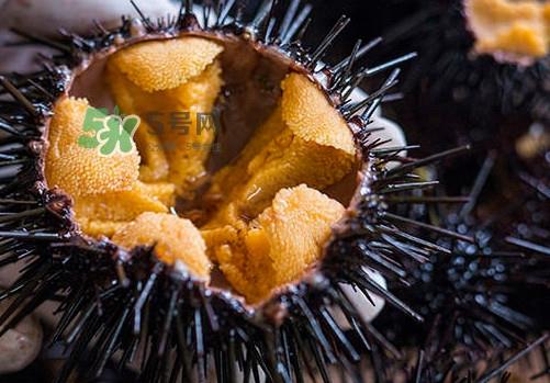 海胆可以冷冻储存吗？什么人不能吃海胆