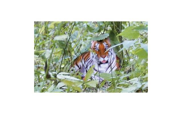 照婚纱照哪家好(上海拍婚纱照哪家好) 照婚纱照哪家好(上海拍婚纱照哪家好)