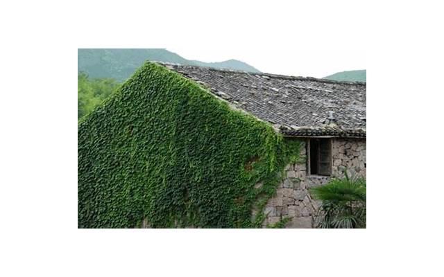 激情四溢!探究金牛男性爱床上表现 激情四溢!探究金牛男性爱床上表现