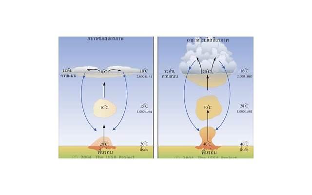 友谊珍贵的格言，让你重新认识朋友和爱情