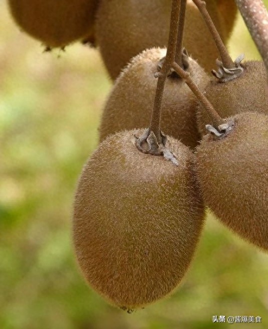 猕猴桃快速去皮小妙招，一般人都不知道