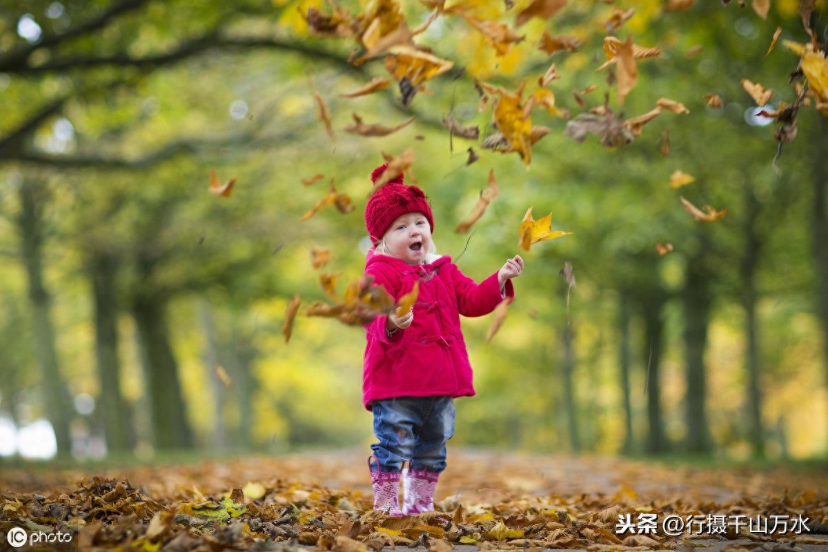 秋日落叶美图欣赏