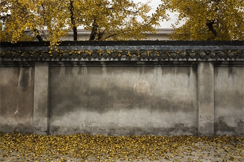 世界公园位于北京市丰台区花乡大葆台，距北京西客站8公里