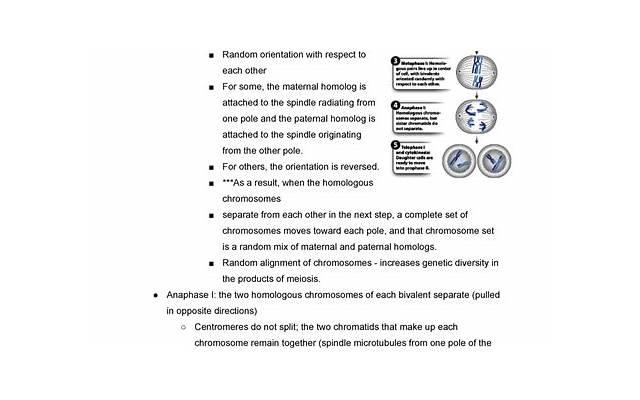 如何让她接受我的表白?陌陌表白技巧! 如何让她接受我的表白?陌陌表白技巧!