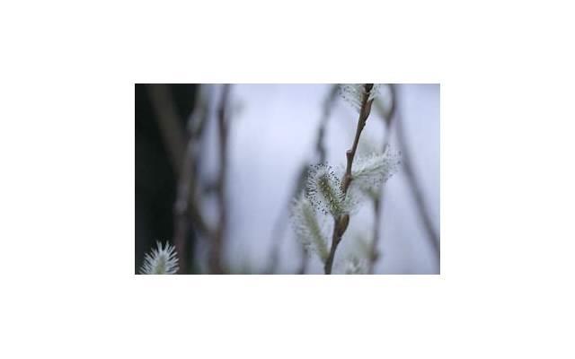 家庭暴力的法律后果是哪些