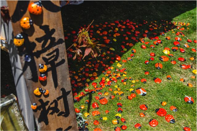 国内秋季最佳旅游攻略 大假光临(2)