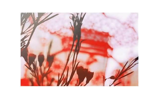 婚外恋是什么 婚外恋的原因是什么引起的 婚外恋是什么 婚外恋的原因是什么引起的