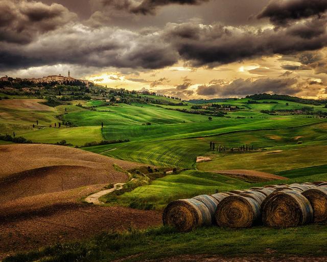 广州越秀区租房（广州租房最强攻略）(2)