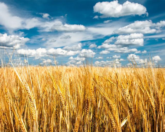 广州越秀区租房（广州租房最强攻略）(7)