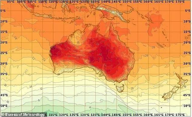 澳大利亚山火后的现状（澳洲官宣山火已全灭）(5)