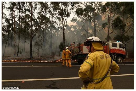 澳大利亚山火后的现状（澳洲官宣山火已全灭）(7)