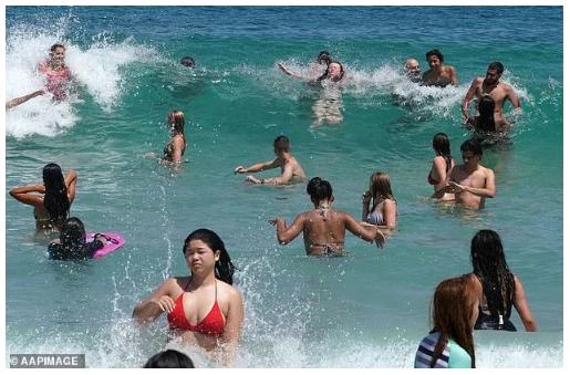 澳大利亚山火后的现状（澳洲官宣山火已全灭）(6)