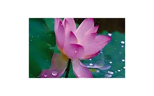 在这个忙碌的时代,给自己一点独处的时间 在这个忙碌的时代,给自己一点独处的时间