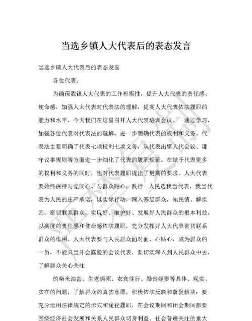 当选为人大代表发言