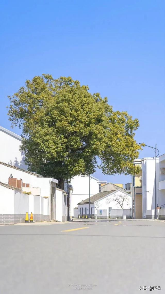 婚姻的七个幸福法则(婚姻中5个黄金比例)(3)