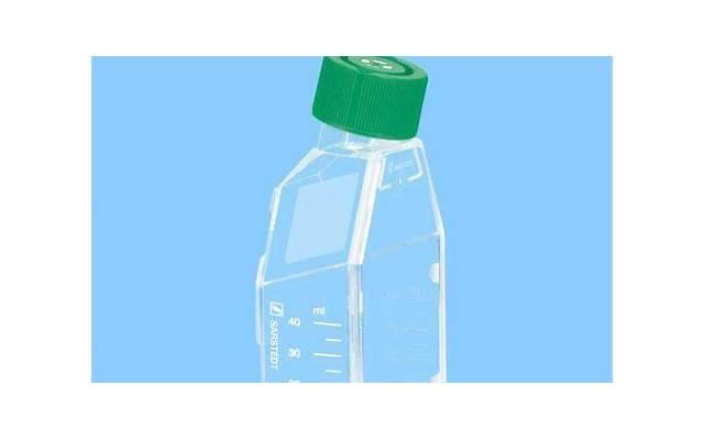 刘晓洁徐洪浩（46岁徐洪浩因戏生情）