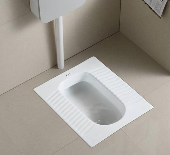 蹲厕和坐厕哪个正确(蹲厕和坐厕哪个更健康)