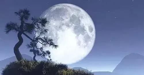 农历二月有三十吗，为什么今年农历二月有三十天？图1