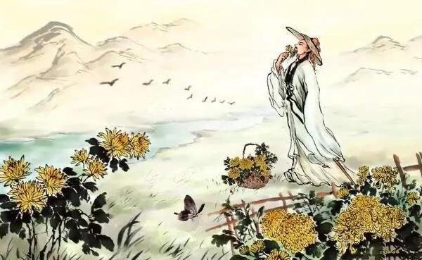 网络图片(侵删)