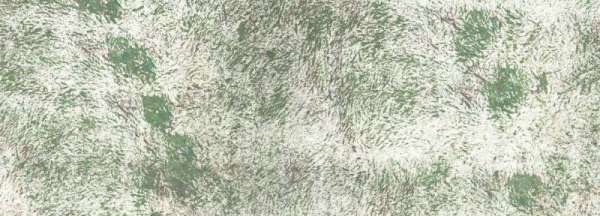 大理岩是一种什么岩,大理石的学名为大理岩是一种什么岩石沉积岩图4