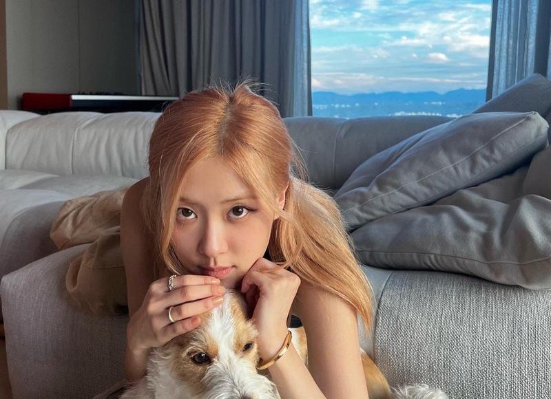 天蝎男暗恋的典型表现