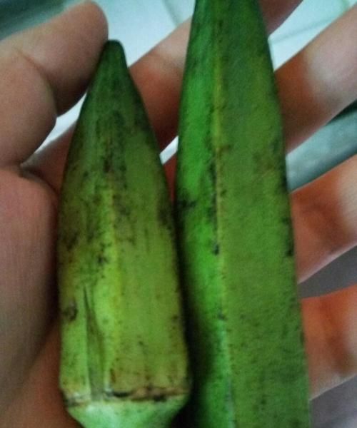 桃子核黑了还能吃