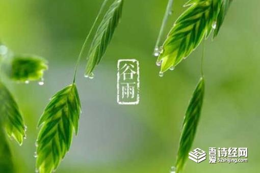谷雨节气的风俗有哪些