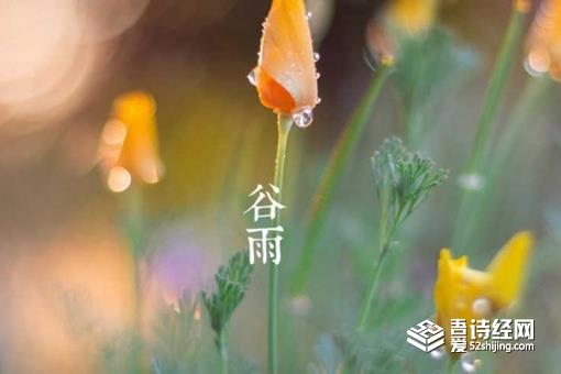 谷雨节气的风俗有哪些