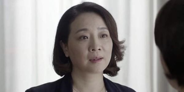 陈小艺演的电视剧,陈小艺主演律师的电视剧叫什么名字图1