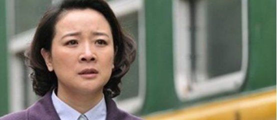 陈小艺演的电视剧,陈小艺主演律师的电视剧叫什么名字图6