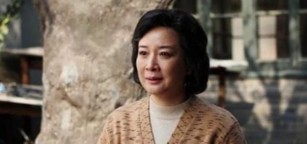 陈小艺演的电视剧,陈小艺主演律师的电视剧叫什么名字图3