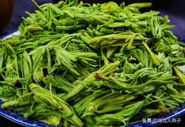 四季野菜图文大全（送你61种野菜大图鉴）(25)