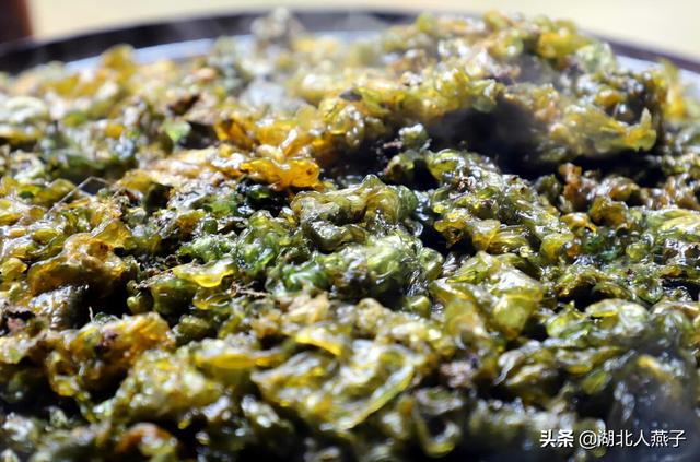 四季野菜图文大全（送你61种野菜大图鉴）(22)