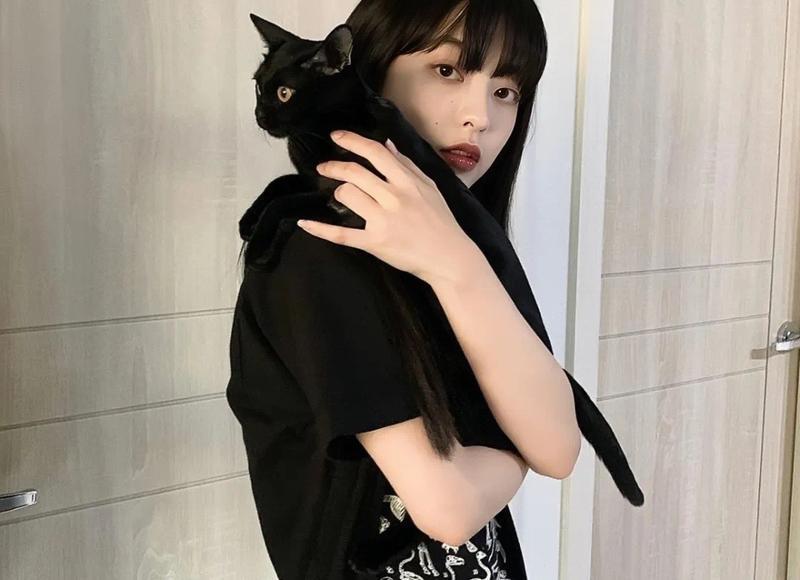 最弱的五个奥特曼