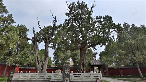 中国的世界自然与文化遗产之泰山岱庙