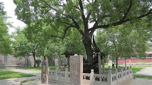 中国的世界自然与文化遗产之泰山岱庙