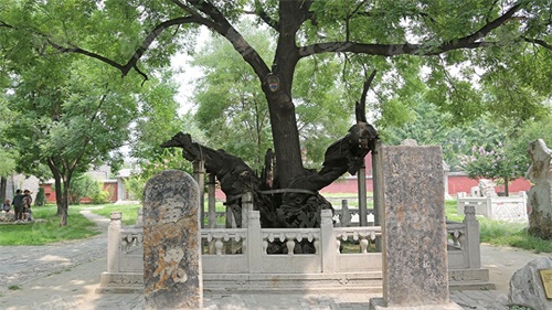 中国的世界自然与文化遗产之泰山岱庙