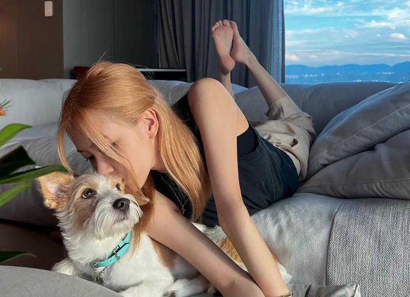 撩妹套路聊天,撩妹技巧套路大全视频 撩妹套路聊天,撩妹技巧套路大全视频