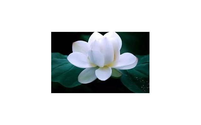 27岁定律-男女都逃不过的27定律