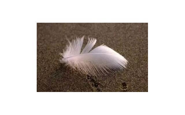 情侣间必须经历的阶段！熬过去就会永远在一起